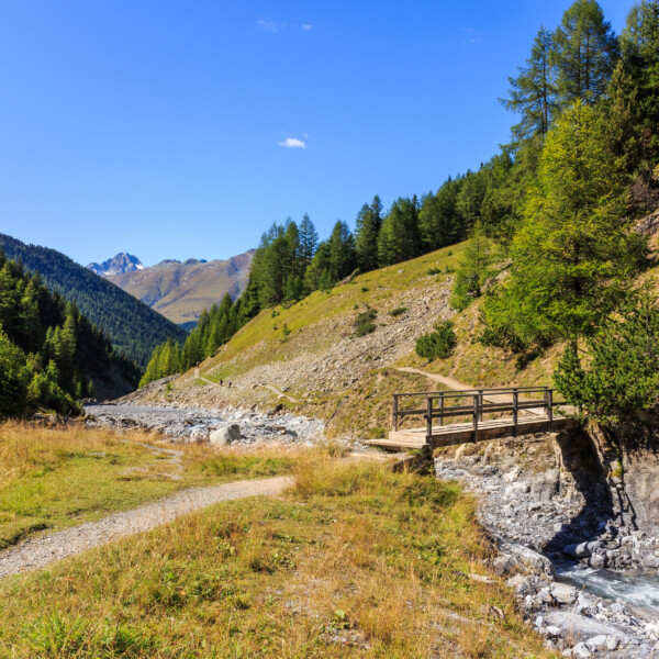 Holzbrücke über Bach im Ova da Varusch Tal mit Bergen im Hintergrund