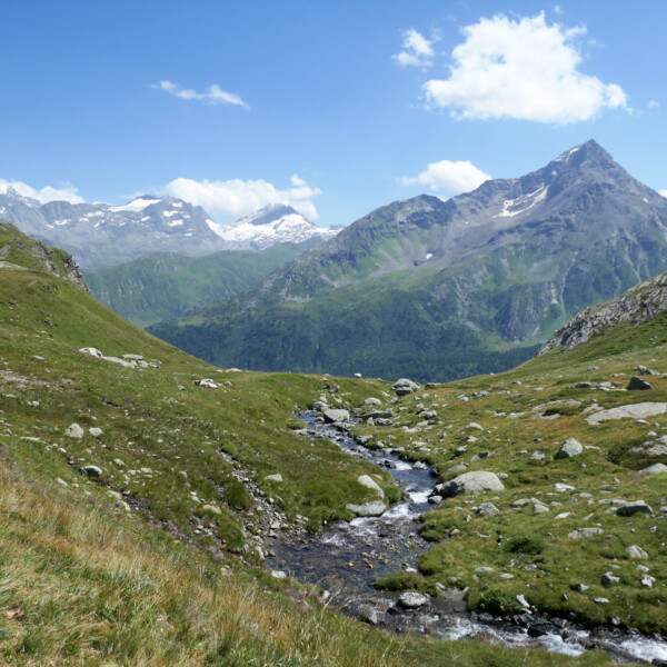 Ova dal Mulin: Berglandschaft mit Bachlauf und schneebedeckten Gipfeln unter blauem Himmel.