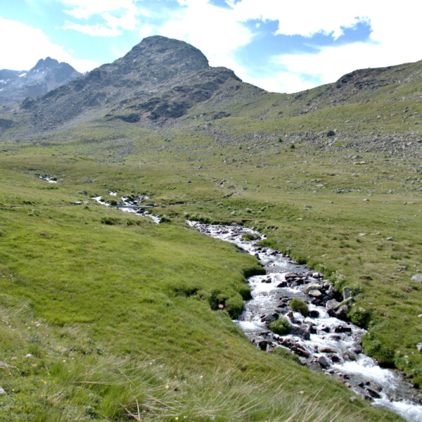 Ovel da Languard: Berglandschaft mit Bachlauf und grünen Wiesen im Schweizer Nationalpark.