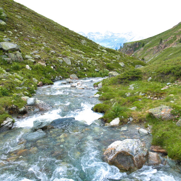 Fließender Bach 