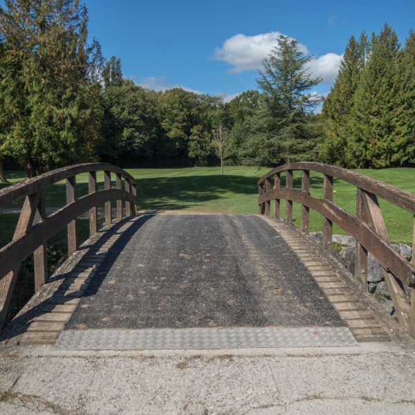 Holzbrücke auf Rasenfläche in Promenthouse