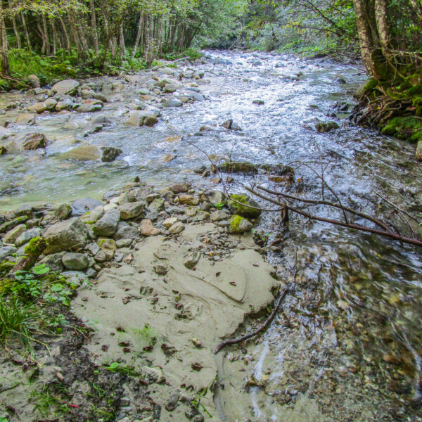 Fluss Rein da Nalps mit Steinen und Bäumen am Ufer.