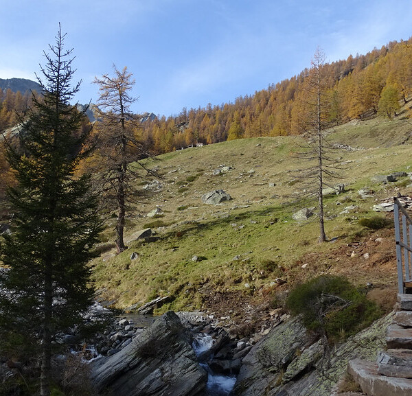 Herbstliche Landschaft mit Brücke über einen Bach in Ri di Sfii.