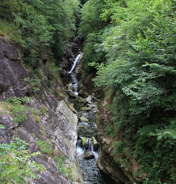 Riale Carecchio: Schlucht mit Wasserfall und üppigem Grün
