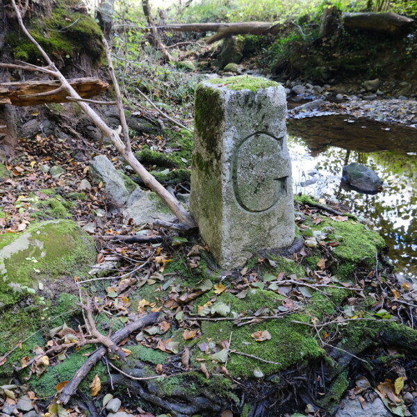 Moosbedeckter Grenzstein am Ruisseau de Tuernant Bach.