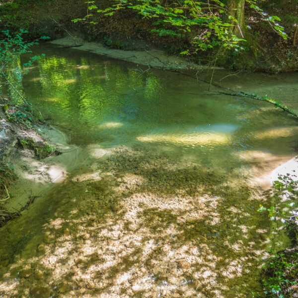 Ruisseau du Bainoz: Klares Wasser fließt durch einen bewaldeten Bachlauf mit Sandgrund.