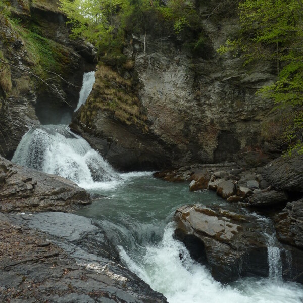 Rychenbachfall: Wasserfall stürzt über Felsen in eine grüne Schlucht.