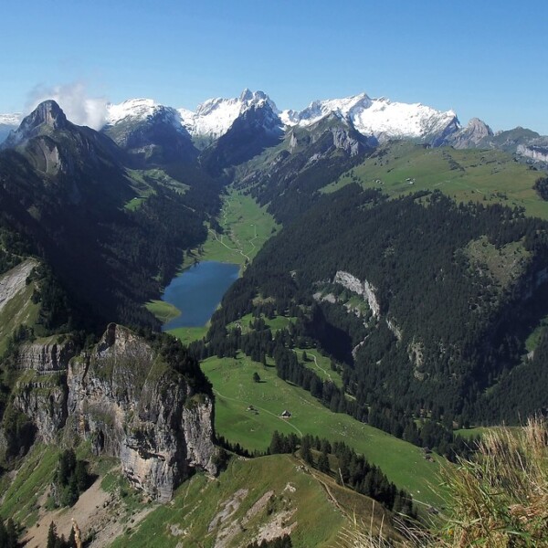 Sämtisersee in den Schweizer Alpen mit Bergen, Wald und blauem See.