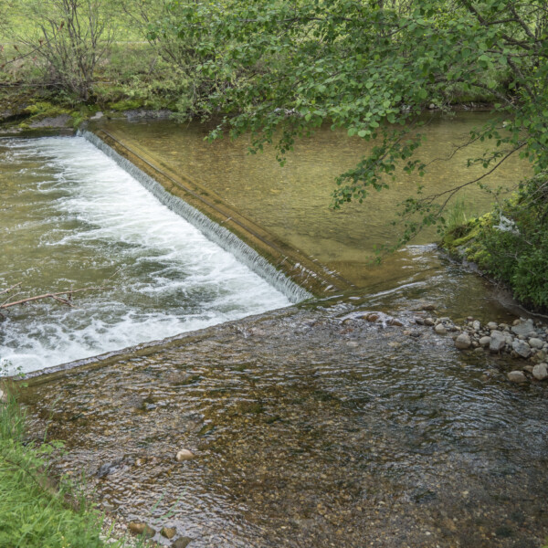 Schärligbach: Kleiner Wasserfall in einem Bach mit Ufervegetation.