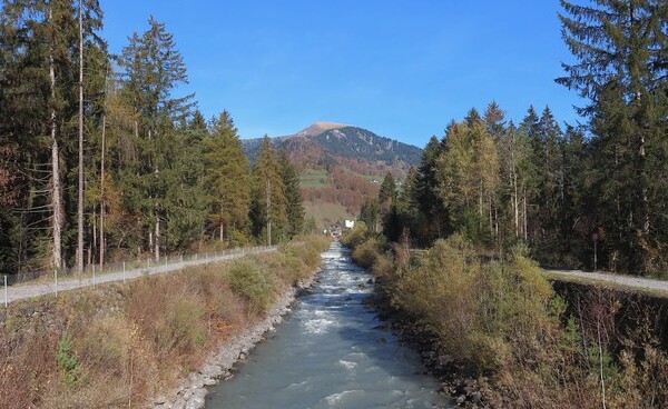 Schmittnerbach Flusslandschaft mit Bäumen und Berg im Hintergrund.