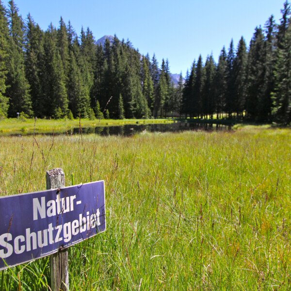 Naturschutzgebiet am Schwarzsee Arosa mit Wiese, See und Tannen.