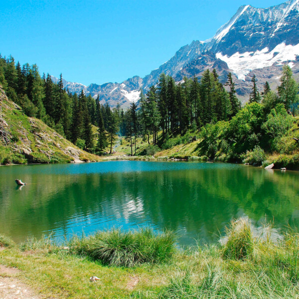 Idyllischer Schwarzsee in Blatten mit Bergpanorama und grüner Uferlandschaft.