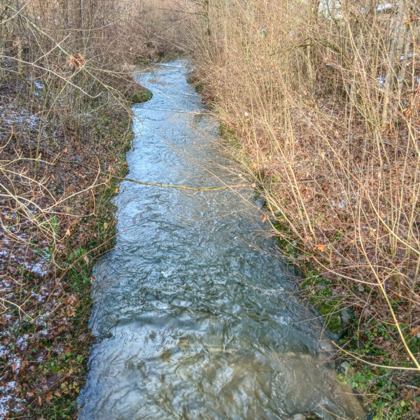Fließender Bach in Seewag, umgeben von winterlicher Vegetation.