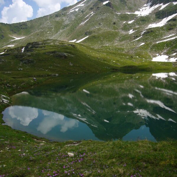 Selvasee Spiegelung: Bergsee mit grünen Wiesen und schneebedecktem Gipfel.