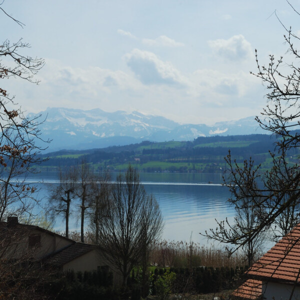 Sempachersee-Ansicht mit Bergen und Häusern im Vordergrund.