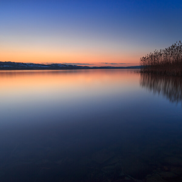 Sempachersee bei Sonnenuntergang mit Schilf und ruhigem Wasser.