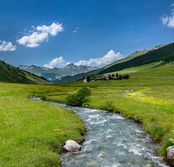 Sertigbach schlängelt sich durch grüne Bergwiese mit Alpenkulisse im Hintergrund.