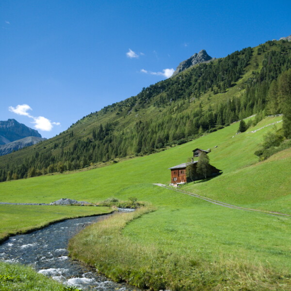 Idyllische Berghütte am Sertigbach in grüner Landschaft unter blauem Himmel.