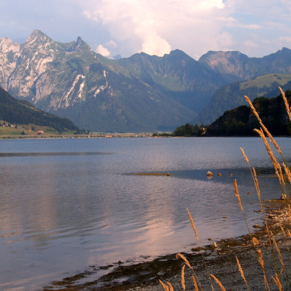 Sihlsee mit Bergen im Hintergrund. Ruhige Wasseroberfläche und Uferbewuchs.