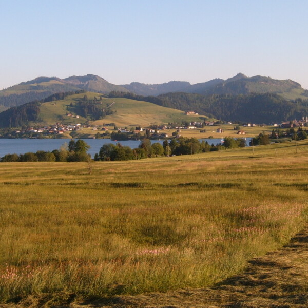 Sihlseeli-Landschaft mit See, Wiesen und Bergen im Hintergrund.