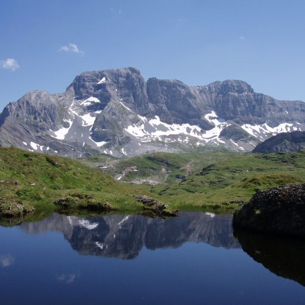 Spiegelung des Berges im Silberenseeli, grüne Wiese im Vordergrund