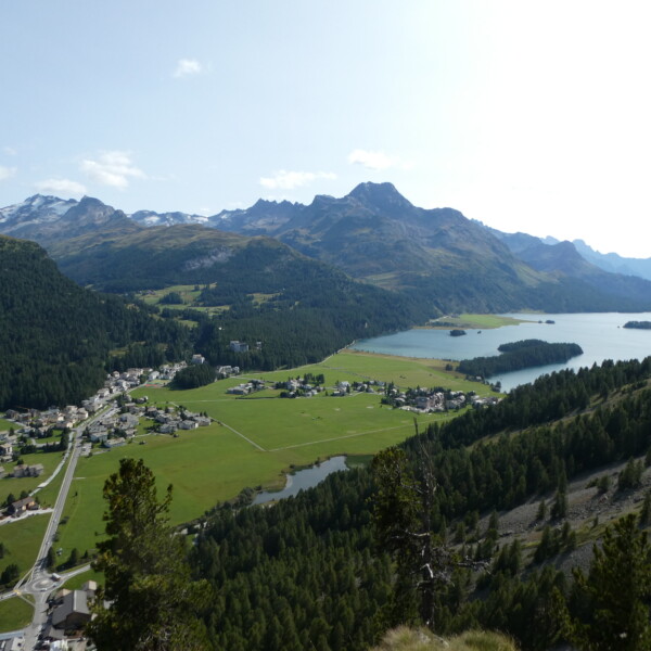 Silsersee-Panorama: Dorf, grünes Tal, See und Bergkulisse im Engadin.