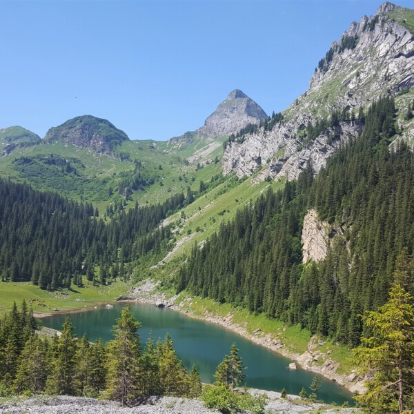Spaneggsee: Idyllischer Bergsee in den Schweizer Alpen mit grünen Wäldern und Gipfeln.