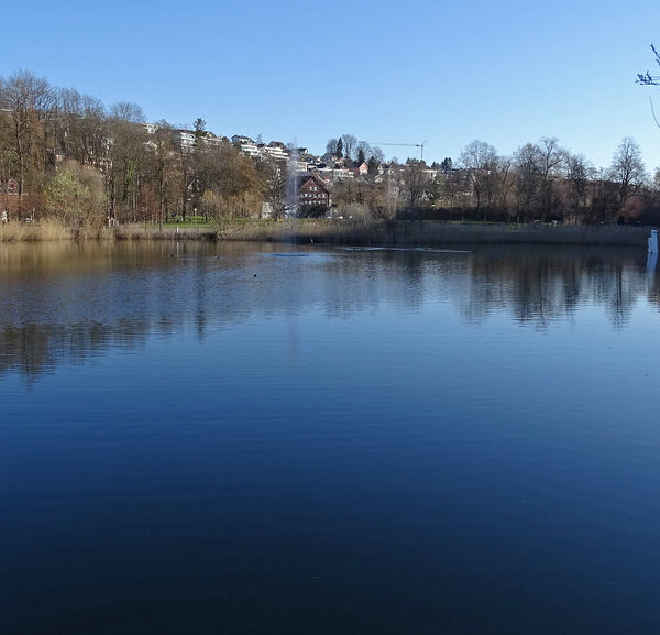 Stadtweiher in Wil mit Spiegelung von Bäumen und Häusern im Wasser.