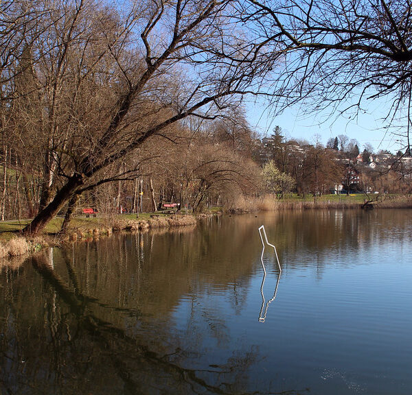 Stadtweiher in Wil: Ruhige Wasseroberfläche mit Spiegelungen von Bäumen und Ufervegetation.