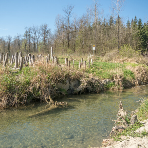 Stegbach: Bachlauf mit Uferbefestigung aus Holz und Vegetation an einem sonnigen Tag.