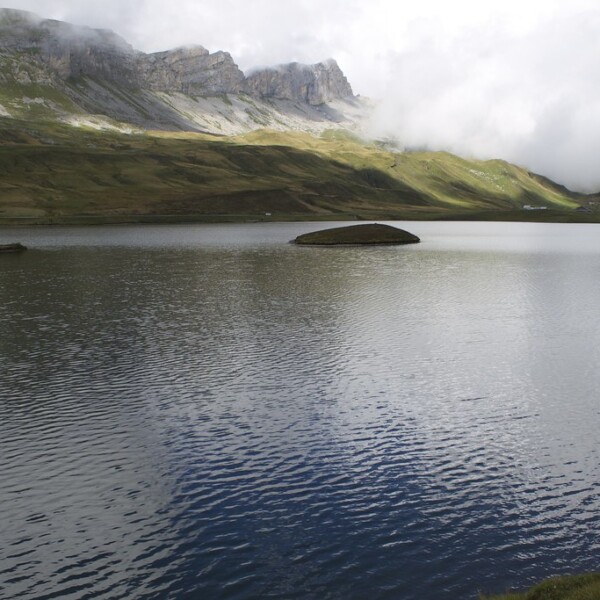 Tannensee: Ruhiger Bergsee mit grünen Ufern und bewölktem Himmel in den Alpen.