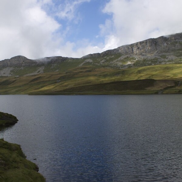 Tannensee: Ruhiger Bergsee mit grünen Ufern und bewölktem Himmel.