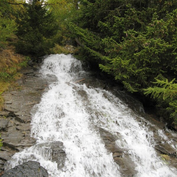 Tosender Wasserfall in Tièche, umgeben von grünen Bäumen