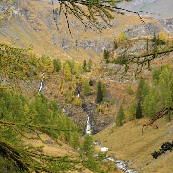 Tièche-Tal mit Wasserfällen und herbstlichen Lärchenwäldern in Graubünden, Schweiz.