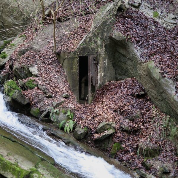 Töbelibach Lutzenberg: Eingang zu einem alten Stollen am Bachlauf, umgeben von Laub und Felsen.