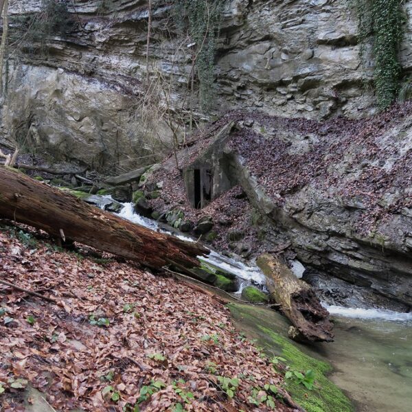 Töbelibach in Lutzenberg: Bachlauf mit Baumstamm und einem kleinen Tunnelportal im Felsen.