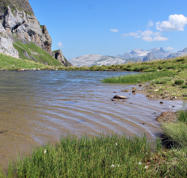 Träsmerenseeli: Idyllischer Bergsee in den Schweizer Alpen mit grünen Ufern und schneebedeckten Gipfeln im Hintergrund.