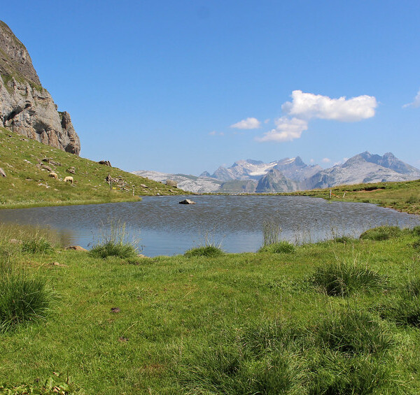 Träsmerenseeli Bergsee in den Schweizer Alpen mit grünen Wiesen und schneebedeckten Gipfeln im Hintergrund.