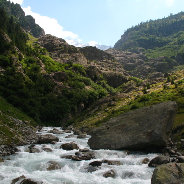 Wildes Triftwasser fließt durch felsige Berglandschaft mit grünen Hängen.