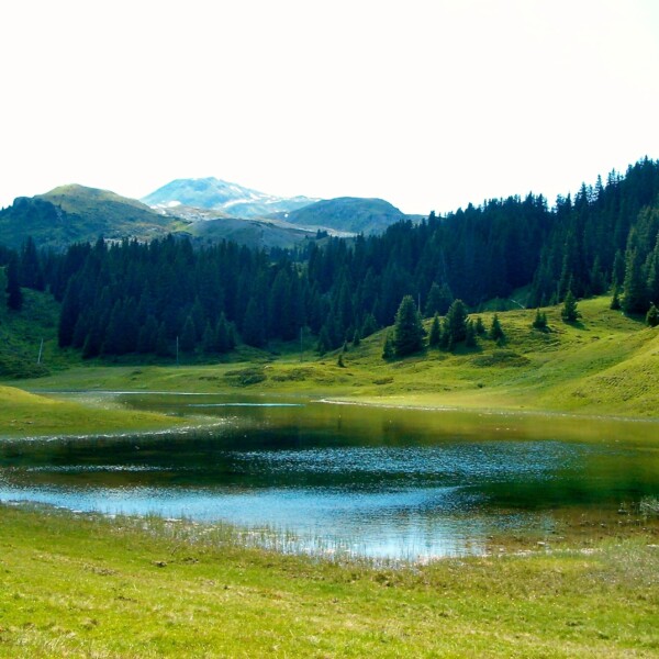 Unterer Prätschsee: Idyllischer Bergsee mit grünen Wiesen und bewaldeten Hügeln.