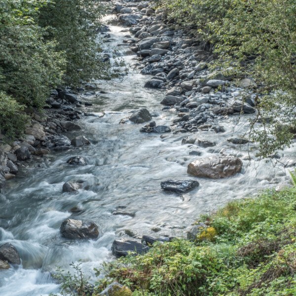 Untertalbach: Wildbach mit Felsen und üppiger Vegetation an den Ufern.