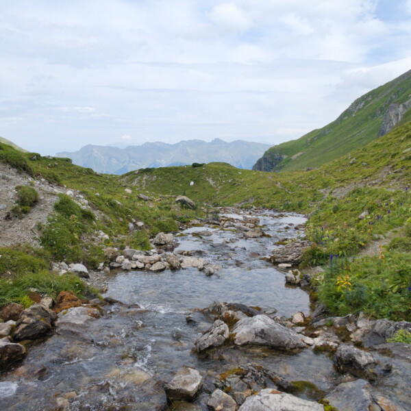 Berglandschaft mit Bachlauf im Urdenbach