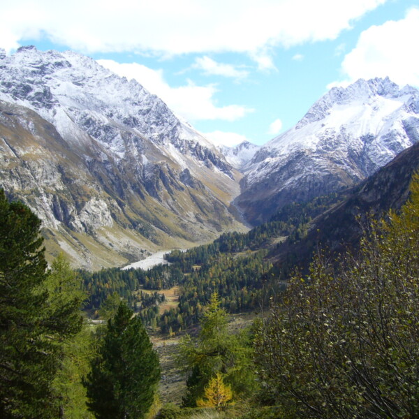Schneebedeckte Berge im Val Muretto, eingebettet in grüne Täler und Wälder unter blauem Himmel.