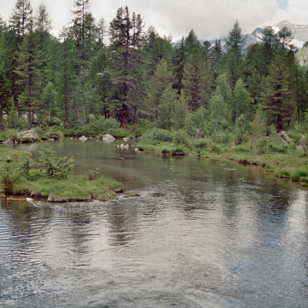 Val da Camp: Ruhiger Bergsee umgeben von dichtem Wald und Bergen.
