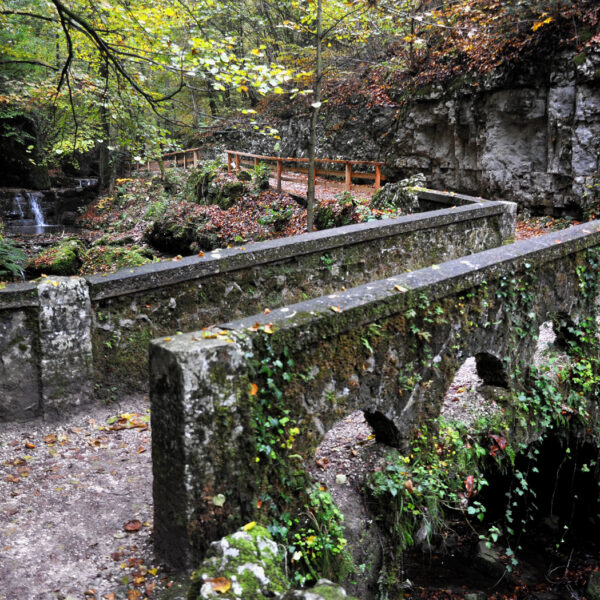 Alte Steinbrücke im Verenabach-Tal, bewachsen mit Moos und Efeu, Herbstlaub.