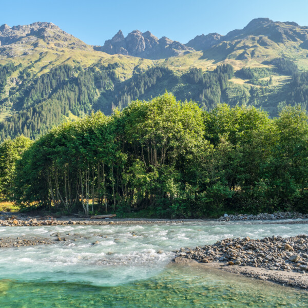Verstanclabach Flusslandschaft mit Bergen und Bäumen im Hintergrund.