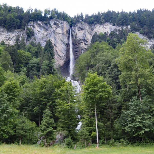 Wandelbach Wasserfall stürzt über eine Felswand, umgeben von üppigem Grün.