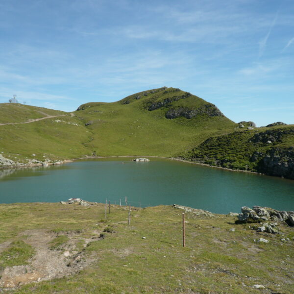 Wangsersee: Idyllischer Bergsee mit grünen Hängen und blauem Himmel.