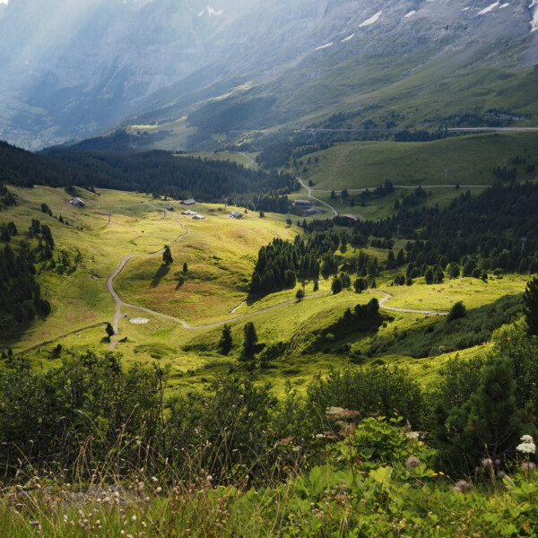 Grüne Landschaft in Wärgistalbach mit Bergen und Pfaden.