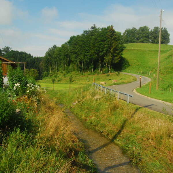 Idyllische Landschaft in Warmisbach mit Bach, Wiese und kurvenreicher Straße.